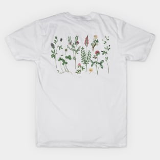 Clover Herbarium Colorful Floral Botanical illustration T-Shirt